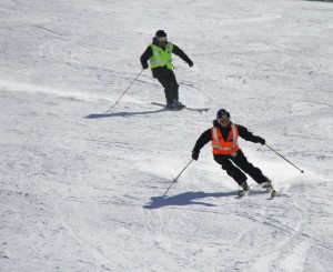 Skiier and Guide Carving